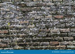 Image result for Moss-Covered Brick Wall
