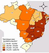 Image result for dengue brazil news