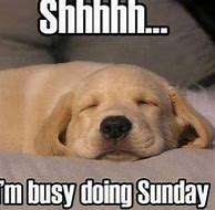 Image result for Lazy Sunday Funny Quotes