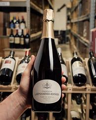 Image result for Larmandier Bernier Champagne Terre Vertus