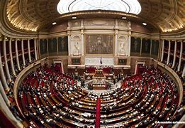 Image result for Le Parlement Francais