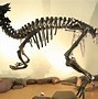 Image result for Carnivore and Herbivore Dinosaurs