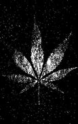 Image result for 4K Weed Desktop Wallpaper