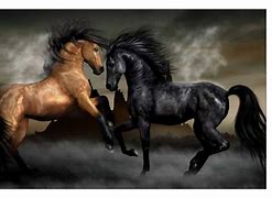 Image result for Horse HD Posters