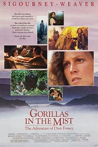 Image result for Gorillas in the Mist Movie
