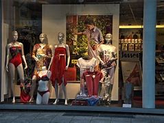 Image result for Window Display Accessories