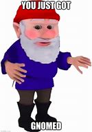 Image result for Gnome Saying Meme
