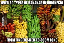 Image result for Oh Banana Meme