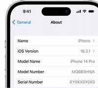 Image result for iPhone 13 vs SE Display