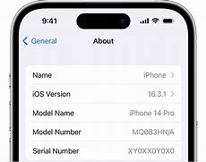 Image result for Apple iPhone Serial Number Q504l0wqc7