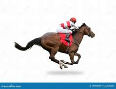 Image result for Horse Racer