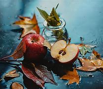 Image result for Still Life Nature Photography