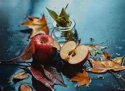 Image result for Pinterest Still Life Photography