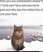 Image result for The Air Hurts My Face Meme