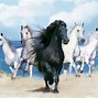 Image result for Horse Racing Desktop Wallpaper