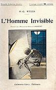 Image result for About the Book the Invisible Man