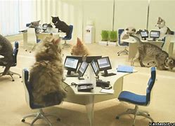Image result for Animals at Work