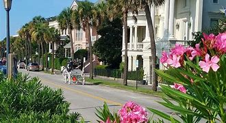 Image result for Places to Go in Charleston SC