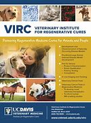 Image result for virc