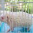 Image result for Hedgehog Habitat Cage