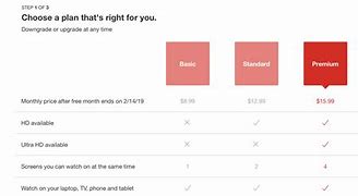 Image result for Netflix Monthly Payment