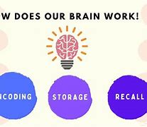Image result for Memory Techniques for Studying