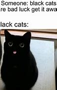 Image result for Interview Cat Meme