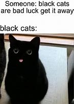 Image result for Quiet Cat Meme
