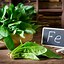 Image result for Veggies with Iron