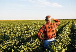 Image result for Farmer On-Field