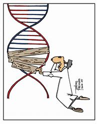Image result for Funny DNA Cartoons