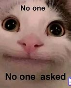 Image result for No One Asked You Meme