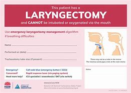 Image result for Clips and Adhesives for Laryngectomees