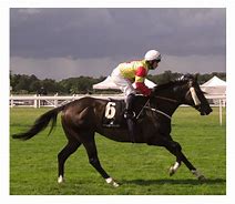 Image result for Royal Ascot Horses