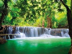 Image result for Jungle Paradise