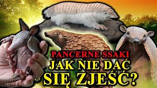 Image result for co_to_za_zbrodnia_w_pawłokomie