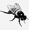 Image result for Cute Bee Clip Art Black and White