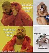 Image result for Emotional Support Flash Meme