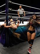 Image result for WWE Raw Ronda Rousey vs Nikki Bella