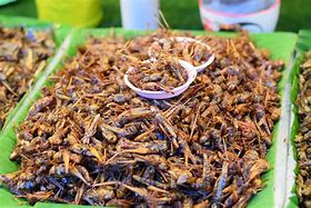 Image result for Deep Fried Crickets