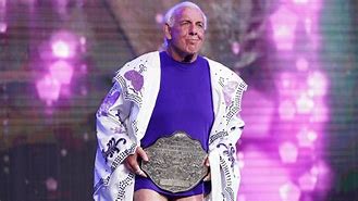 Image result for WWE Ric Flair Last Match