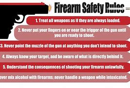 Image result for Gun Safety Pic