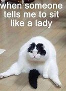 Image result for Popular Cat Meme