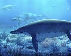 Image result for Biggest Ocean Dinosaur