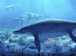 Image result for Largest Ocean Dinosaur