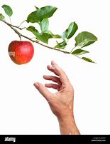 Image result for Hand Picking Apple Black and White