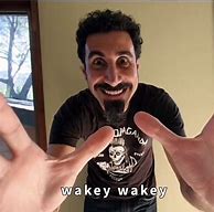 Image result for System of a Down Bean Meme