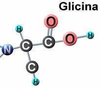 Image result for glicina
