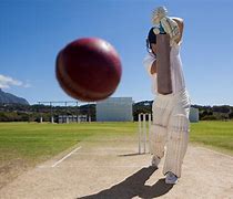 Image result for Latest Cricket Games