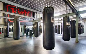 Image result for Home Boxing Bag